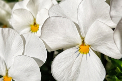 1_20210401_165255-02-02