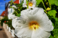 20190804_165727-01