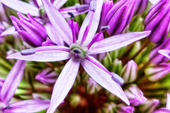 20220521_171137-02