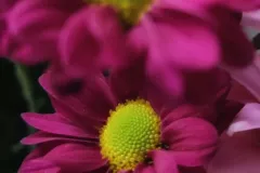 IMG_20220411_164351_535