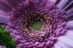 IMG_20220411_164351_549