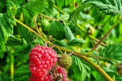 IMG_20240624_152457_875