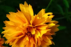IMG_20240624_152457_893