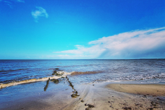 1_IMG_20220411_164847_748