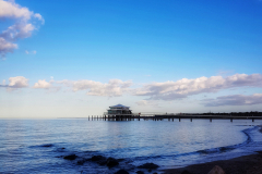20190319_171859-01