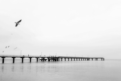 20190320_175203-01