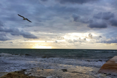 20190707_202457-01