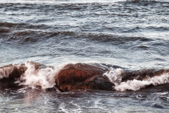 20221102_163159-01-Kopie