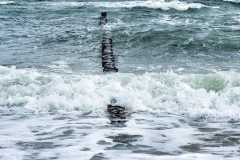 20221119_093819-01-Kopie