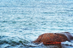 20221125_133233-01-Kopie