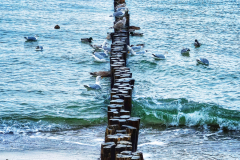 20221125_134225-01-Kopie