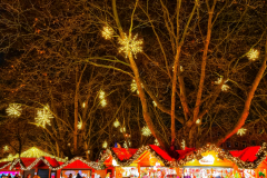 20211126_181756-01
