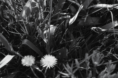 20190512_194829-01
