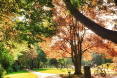 20210904_160606-01-01