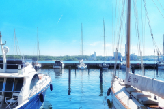 20220605_103028-02