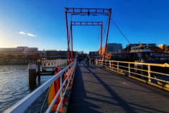 20230226_164955-01