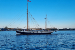 20230617_190251-Kopie