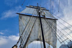 20230617_194939-Kopie