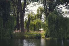 20190720_154513-01
