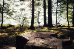 20190820_184534-01