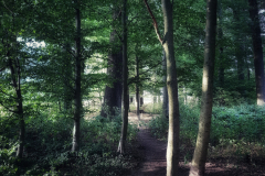20190820_184838-01